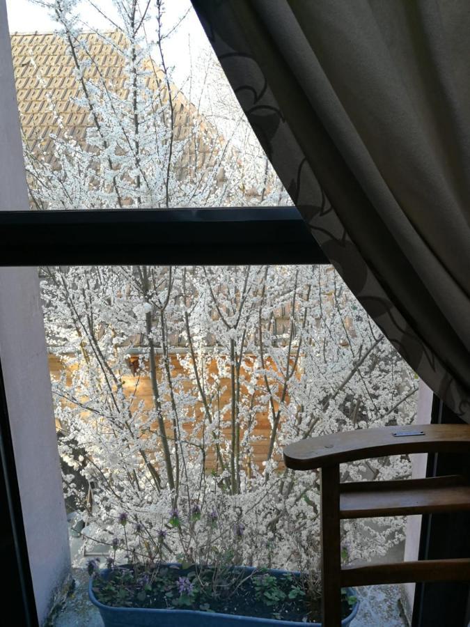 Un Verger Dans La Ville Saint-Parres-aux-Tertres Dış mekan fotoğraf